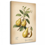 L&otilde;uenditr&uuml;kk, Fruits Vintage Pear 40x60 beež