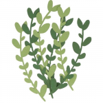 6 feuilles de papier sauge alpine