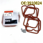 High quality New For 12PCS 3910824 Valve Cover Gasket w/ Seals Fits for Dodge Cumm 89-98 12V 6B 6BT 5.9 12V 3910824