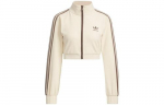 Adidas Originals L&uuml;hikesed Mantlid Naistele Beež IP3005 XL beež