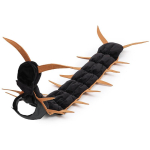 Naljakas Kassi Sipelga Kost&uuml;&uuml;m Halloweeni Lemmiklooma Cosplay R&otilde;ivastus Loov Putuka &Uuml;mberriietumise Riided V&auml;ikestele Kassidele Kassipojad Peo Rekvisiidid