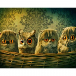 Huacani loomad 5D DIY Teemantmaal Tikkimispuur Mosaiik N&auml;put&ouml;&ouml; K&auml;sit&ouml;&ouml; Kodukaunistus 30*40 cm