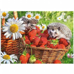 5D DIY Teemantmaaling Maasikas siil Tikand T&auml;isekraan ristpistes 20X30CM