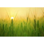 5D-teemantmaal nisuteraga maastik Ristpistes isetegemise teemanttikandid 20X30CM