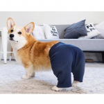 5D isetehtud teemantmaal Ristpistes Corgi t&auml;isruudu teemanttikandid 20X30CM
