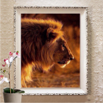 5D teemantmaaling Teemanttikandi komplektid Kosk Mosaiik Kingitus Tikand K&auml;sit&ouml;&ouml; Teemantseina kunstkaunistus Full Round 20X30CM