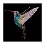 2021. aasta uus Animal Hummingbird Dragonfly 5D teemantmaalikomplekt teemanttikandiga mustvalge mosaiik kodukaunistus Full Round 20x20CM