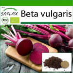 SAFLAX &ndash; Orgaaniline &ndash; Punapeet &ndash; Detroit Globe &ndash; 100 seemet &ndash; Potisubstraadiga paremaks kasvatamiseks &ndash; Beta vulgaris