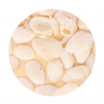 50 g kestade kaunistused K&otilde;rge vastupidavusega loominguline kuju Atraktiivne praktiline naturaalne karbikarp Mini isetegemise k&auml;sit&ouml;&ouml; &otilde;ppetarbed 13