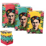 Frida Kahlo [A0615] &ndash; 6 kirjust Frida Kahlo suveniirikarbist koosnev komplekt &ndash; 36x28x16 cm mitmev&auml;rviline