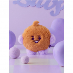 Line Friends BT21 lame karusnahast seisev nukk (7 Valikud) #COOKY