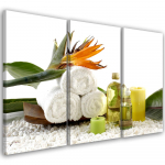 Kolmeosalise pildiga l&otilde;uendiprindiga Towel Flowers Oil 60x40 valge