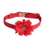 Pandla disain V&otilde;ltsnahast roosilillede sisekujundus Lemmiklooma koera kaelarihm Igap&auml;evane kollokatsioon beež