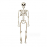 Halloweeni luustiku kaunistused Realistlikud kogu keha liigesed luud hirmutav pidulik pidu Kodu &otilde;ue kaunistamine &otilde;ue aia dekoratiiv