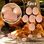 6 TK Mannequin Oeufs Faux Oeufs Aide Pondre Poule