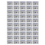 50 tk krediitkaardilugeja puhastaja POS-i p&uuml;hkimisterminali puhastuskaardid sularahaautomaatide kaardiprinteritele