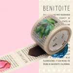 Masking Tape MT 2,5 cm Pr&eacute;d&eacute;coup&eacute; encyclopedie min&eacute;raux - mineral mitmev&auml;rviline