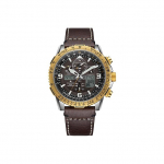 CITIZEN 200m Veekindel Valgusj&otilde;ul t&ouml;&ouml;tav Kvartsliikumisega Nahkrihmaga K&auml;ekell Unisex JY8084-17H Coffee Watch Dial