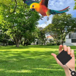 Linnujala n&ouml;&ouml;r Metallist Automaatselt Tagasit&otilde;mbuv Papagoi Jalakett Lendamise Treeninguks N&auml;rimiseks Linnu Pahkluu Aksessuaarid Conure'idele ja Armastuslindudele CHINA