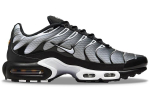 Nike Air Max Plus 'Black Metallic Silver' DM0032-003 38.5 black