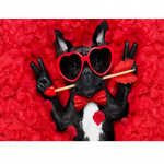 5D-teemantide m&uuml;&uuml;k K&auml;sitsi valmistatud tikandid DIY pildid Ristpistes kingitus Hotelli kodukaunistus 20X30CM