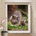 Teemanttikandid 5D DIY Teemantmaaling Teemantmosaiikpildid Mosaiik Kingitus Rhinestones Kodukaunistus Full Round 20X30CM