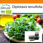 SAFLAX - Aed kotis - Orgaaniline - Wild Rocket - 1500 seemet - Substraadiga sobivas p&uuml;stises kotis - Diplotaxis tenuifolia