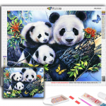 5D Teemantmaali Loom Panda Ristpistes Teemanttikandid Mosaiik Full Round 20X30CM