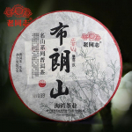 2022 Haiwan Zhang Jia San Dui Village Toores Puerh Hiina tee Bulang Mountain Aged Tree Sheng Puer Hiina tee 500g