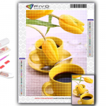 5D teemantmaaling tulbid ja kohv DIY teemanttikandid kivikivist kodukaunistus Full Round 20X30CM