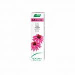 Vogel Dentaforce Echinacea 100g