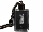 Chausie - Crystal pendant with cat photo, illuminated pendant, unique gift by Art-Dog brand