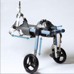 Lemmikkoera taastusravi ratastool, k&otilde;ndimist abistav ratastool Che XS sinine