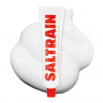 Saltrain Two-Faste 100g 3 types, choose 1 Saltrain Gray Salt Toothpaste 1