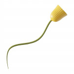 Koeram&auml;nguasjad Elektriline &ouml;&ouml;kulli h&uuml;ppepall, interaktiivne koeram&auml;ngupall koertele koos patareidega, automaatne liikuv pall ja pehme kate v&auml;ikestele One Size