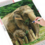 5D teemantmaali elevant pilt kivist teemanttikanditest, t&auml;is &uuml;mmargune mosaiik 20X30