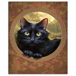 Musta kassi 5D DIY teemantmaali loom t&auml;isringi teemanttikandid 20X30CM