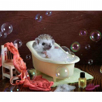 Teemant t&auml;isring/ruudukujuline Teemantn&otilde;elniit Uus saabumine Loom 3D DIY Teemantmaal  Siili suplemine  Kodukaunistus Full Round 20X30CM