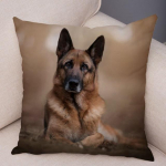 Saksa lambakoera padjap&uuml;&uuml;r Superpehme l&uuml;hike pl&uuml;&uuml;sist padjakate diivanile kodu padjap&uuml;&uuml;r Decor Lemmikloom 45*45cm katted 45*45cm