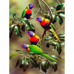 5D DIY Teemantmaaling Loomade Papagoi T&auml;is&uuml;mmargune Tikand Pilt Lind Rhinestone Teemantmosaiik Kodukaunistus Full Round 20x30CM
