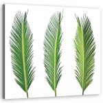 L&otilde;uendiprint Palm Leaf Nature 30x30 roheline