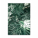 Skandinaavia rohelised lehed lilled pilt troopiline taim seinakunst l&otilde;uend P&otilde;hjamaade plakatid ja tr&uuml;kised Elutoa sisustus A4 21x30cm No Frame