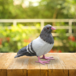 Elutruu tuviskulptuur: Suurep&auml;rane aiakujundus &otilde;ues