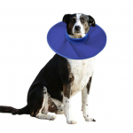 Kaitsev mugav lemmiklooma kaelarihm Veekindel kiiresti kuivav k&otilde;rge elastse kaelusega koera taastav kaelarihm lemmiklooma varustus L oranž