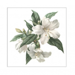 White Lily Leaves WC kleebis Eemaldatav isekleepuv veekindel PVC elutoa seinakunst lilleline vannitoa tualett