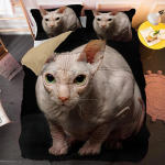 Armas Lemmikloomakassi Voodipesukomplekt Loomaprindiga Katted &Uuml;he Kahekohaline King Queen Suurus Tekikott Kassipoja Muster Pol&uuml;ester Tekikate 140x210cm 2pcs