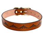Nahast koera kaelarihm ehtsast nahast lemmikloomakoerte kaelarihmad Pitbull saksa lambakoera kaelarihm v&auml;ikestele keskmistele suurtele koertele S pruun