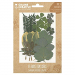 21 fleurs press&eacute;es - for&ecirc;t 2