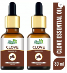 Cesaro Organics nelgi eeterlik &otilde;li hammastele, juustele, nahale 15 ml 2. pakend ( 15 ml x 2)