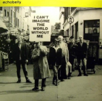 12-tolline plaat ECHOBELLY Ma ei kujuta maailma ette ilma M FAUV2T FAUVE 1994 UK Rock Kasutatud